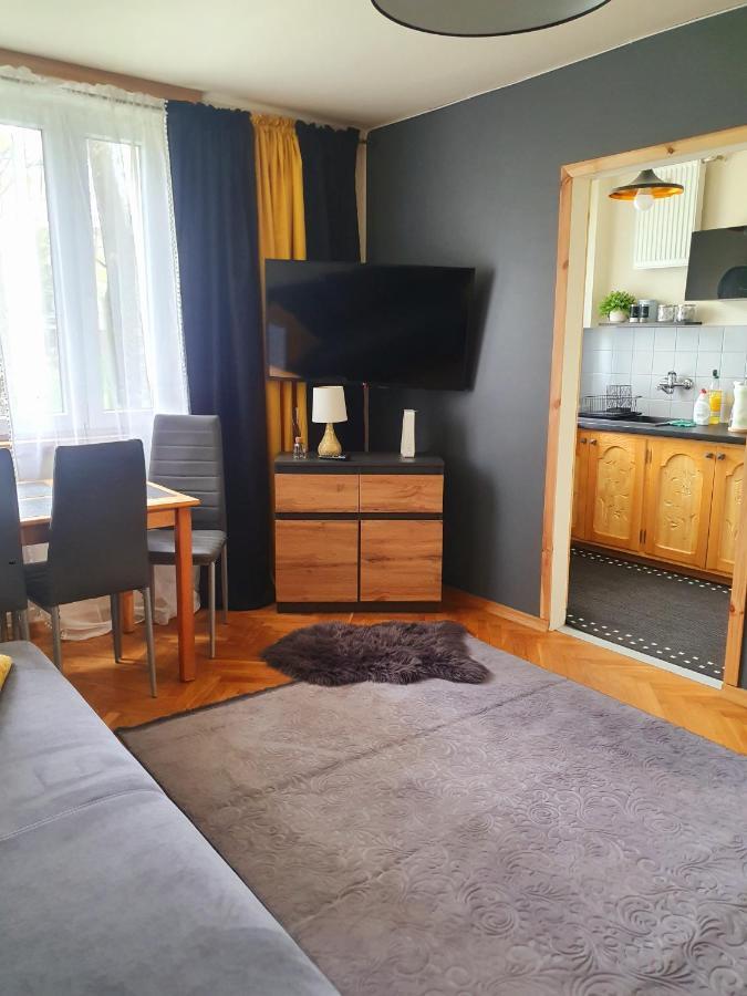 Apartament Izba W Centrum ザコパネ エクステリア 写真