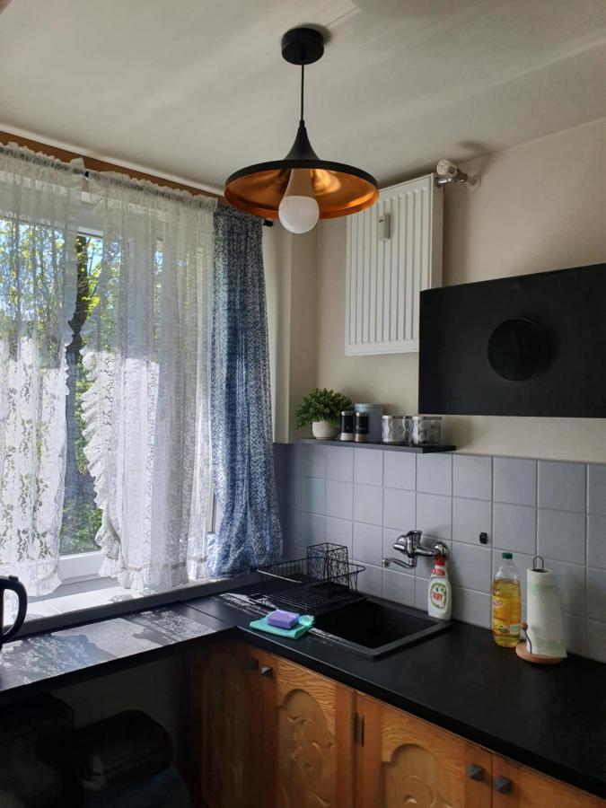 Apartament Izba W Centrum ザコパネ エクステリア 写真