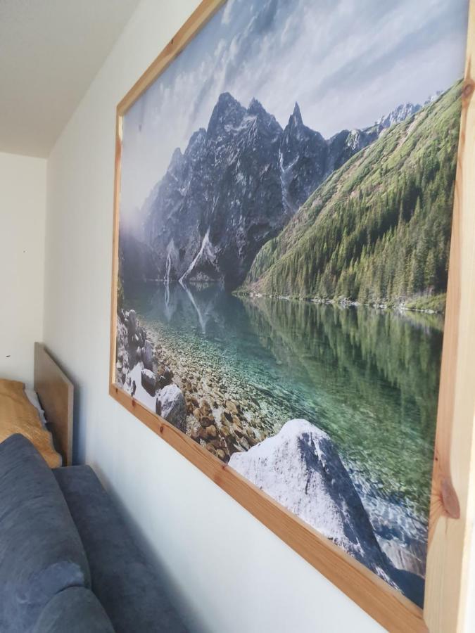 Apartament Izba W Centrum ザコパネ エクステリア 写真