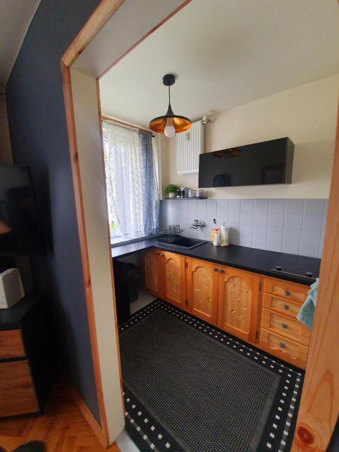 Apartament Izba W Centrum ザコパネ エクステリア 写真