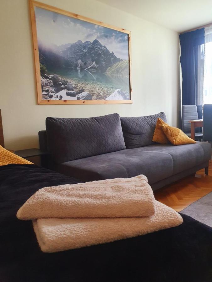 Apartament Izba W Centrum ザコパネ エクステリア 写真