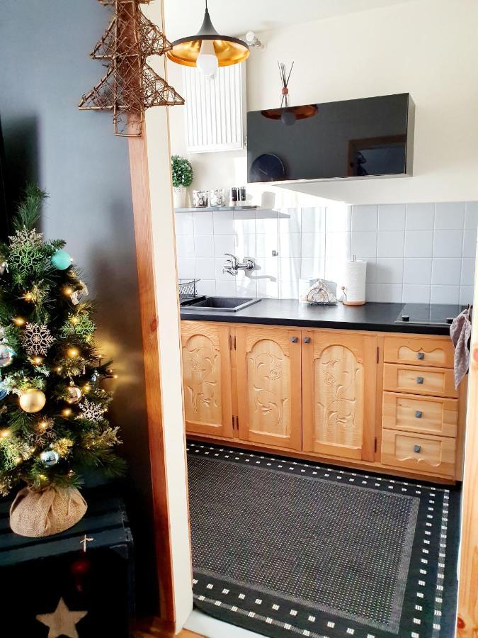 Apartament Izba W Centrum ザコパネ エクステリア 写真