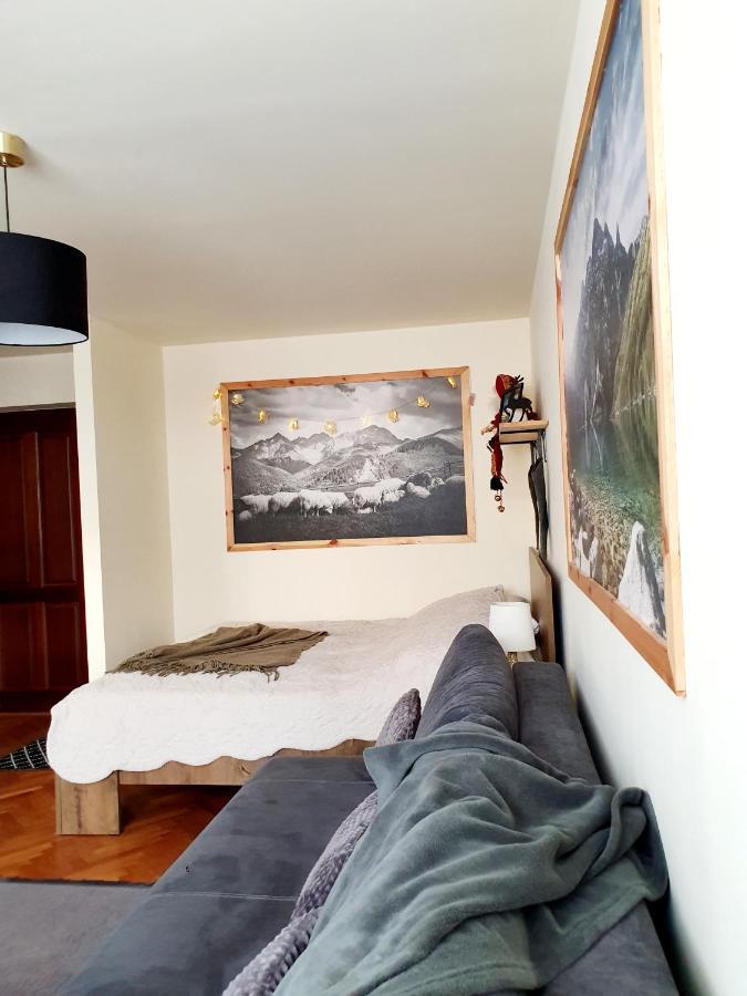 Apartament Izba W Centrum ザコパネ エクステリア 写真