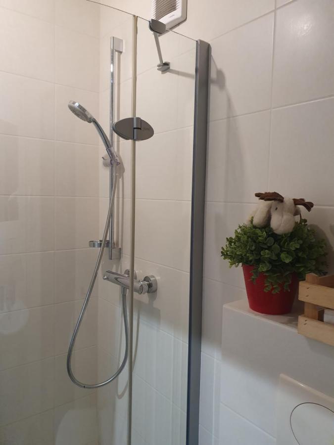 Apartament Izba W Centrum ザコパネ エクステリア 写真