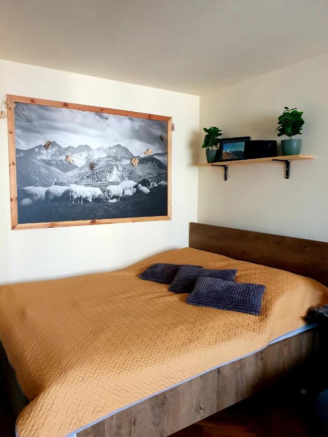 Apartament Izba W Centrum ザコパネ エクステリア 写真